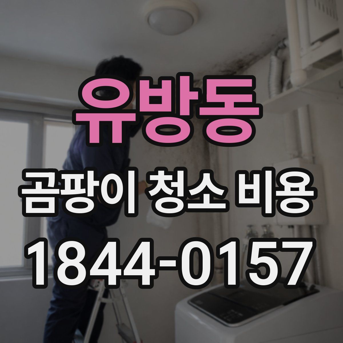 유방동 곰팡이 청소 비용