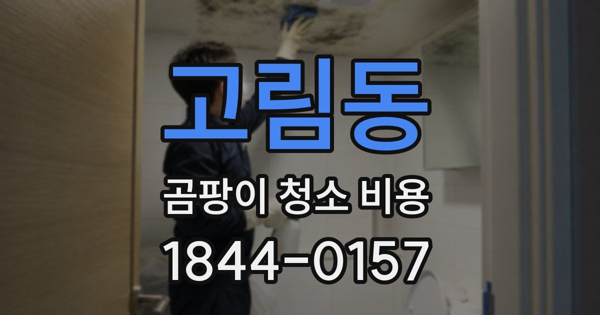 고림동 곰팡이 청소 비용