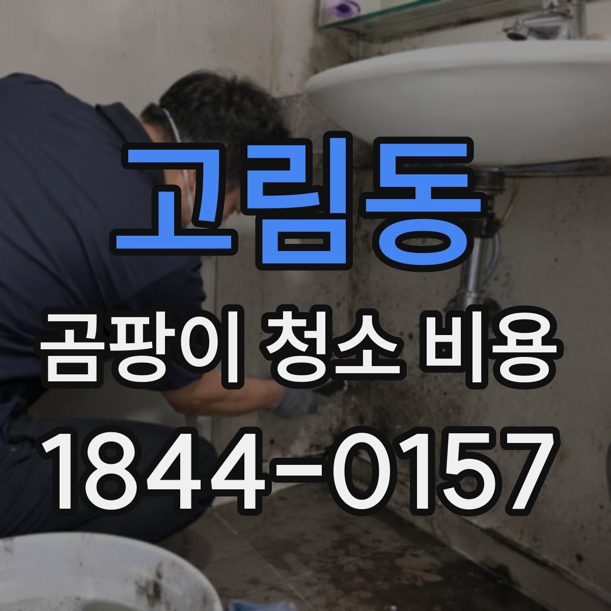 고림동 곰팡이 청소 비용