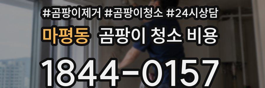 마평동 곰팡이 청소 비용