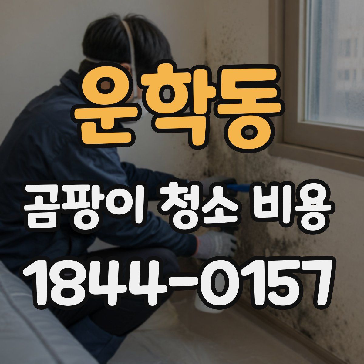 운학동 곰팡이 청소 비용