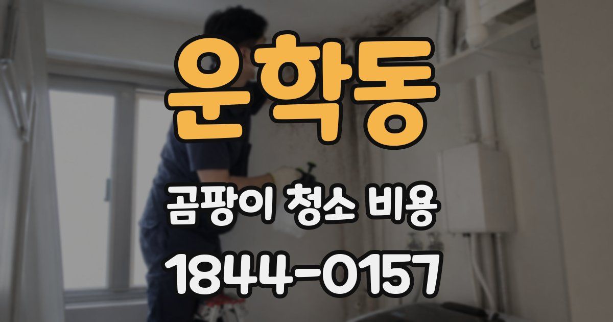 운학동 곰팡이 청소 비용