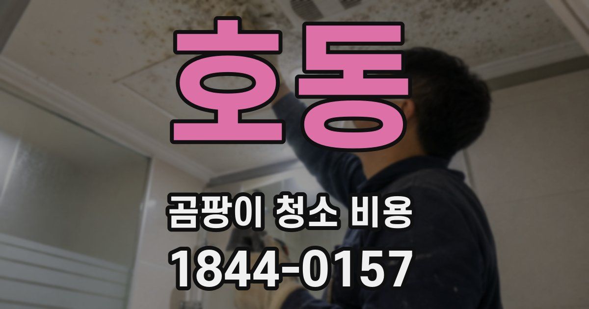 호동 곰팡이 청소 비용