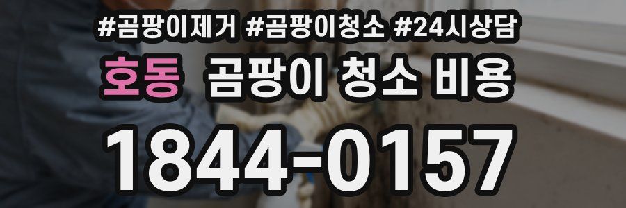 호동 곰팡이 청소 비용