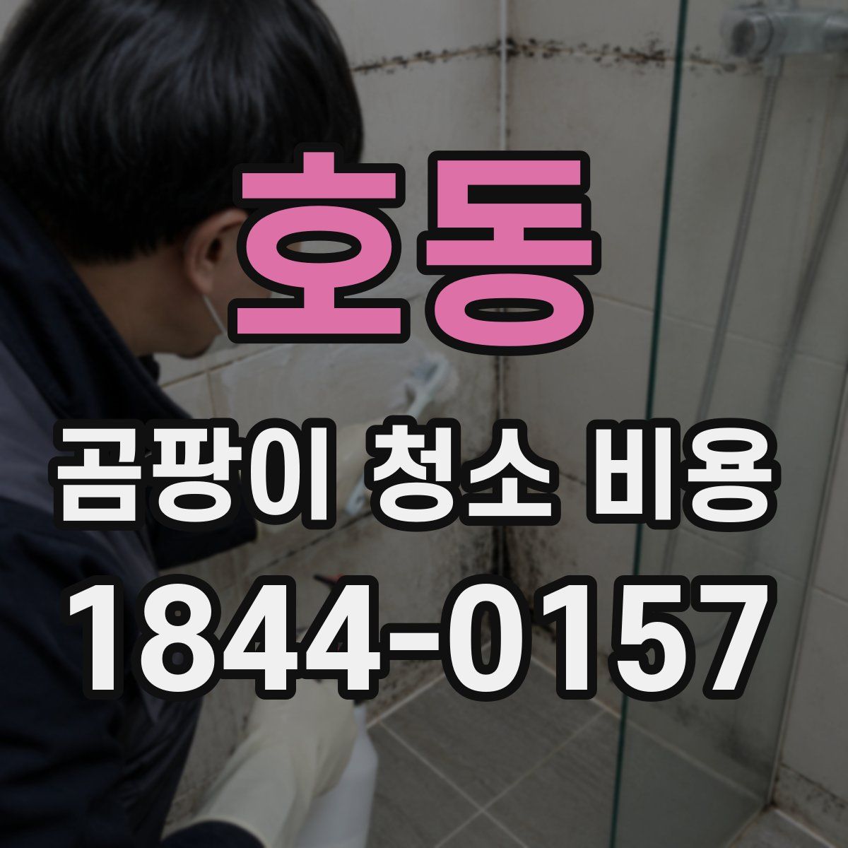 호동 곰팡이 청소 비용