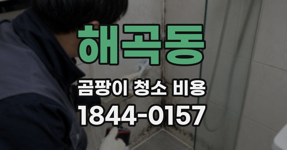 해곡동 곰팡이 청소 비용