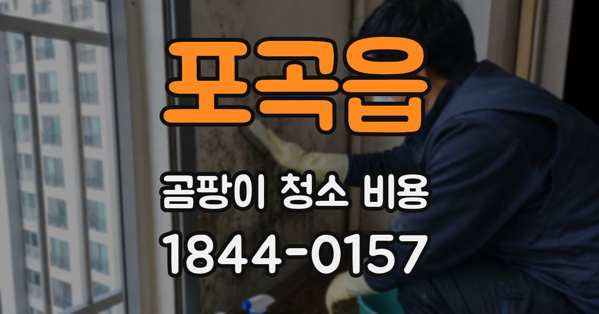 포곡읍 곰팡이 청소 비용