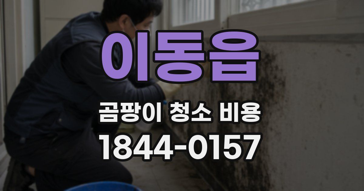 이동읍 곰팡이 청소 비용