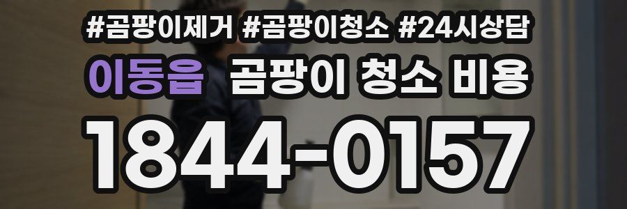 이동읍 곰팡이 청소 비용