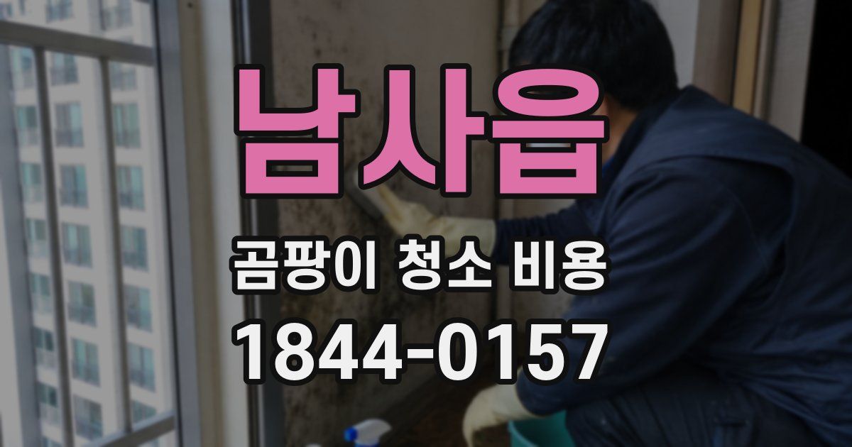 남사읍 곰팡이 청소 비용
