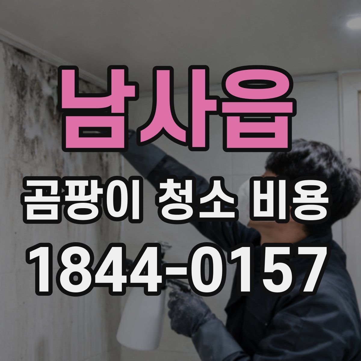 남사읍 곰팡이 청소 비용