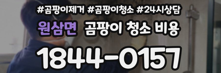 원삼면 곰팡이 청소 비용