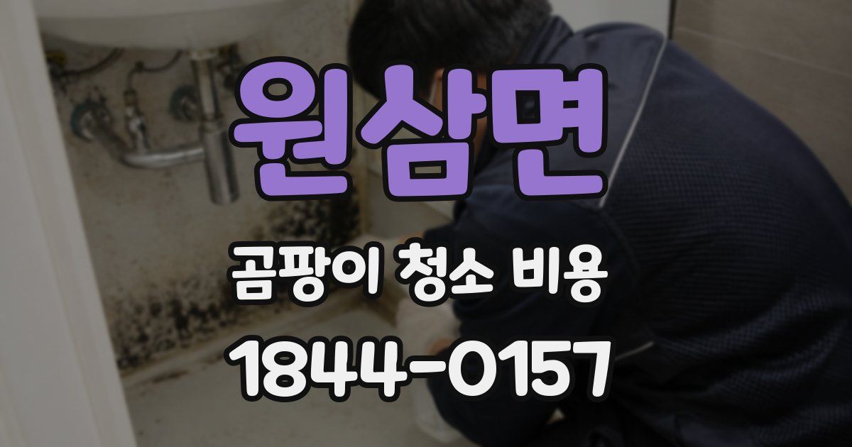 원삼면 곰팡이 청소 비용