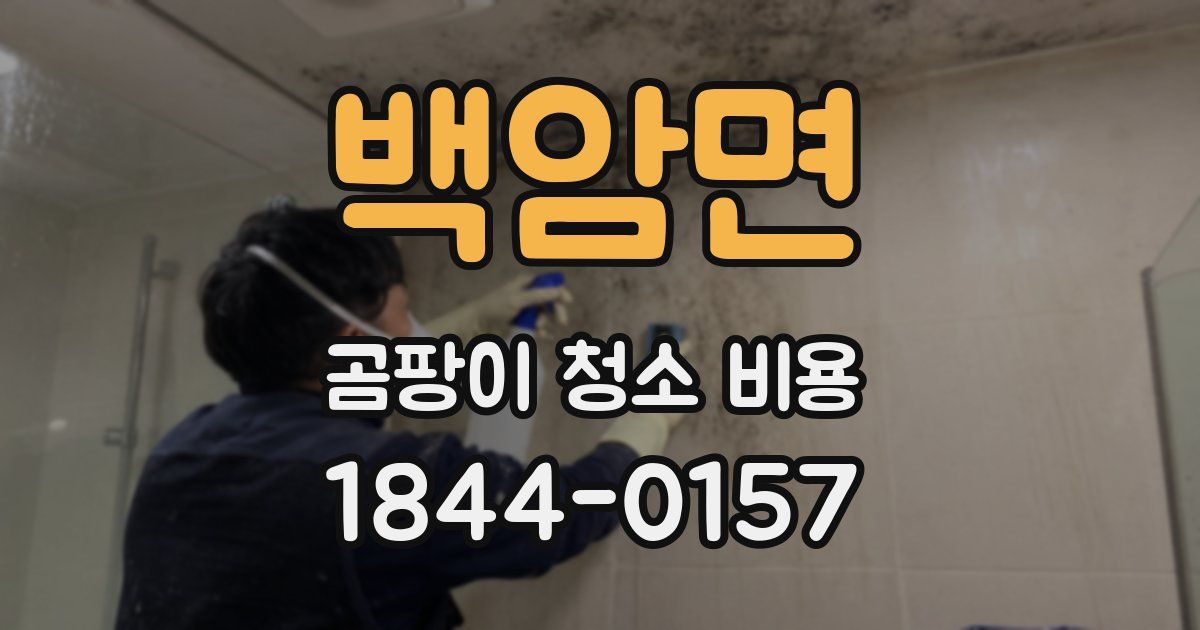 백암면 곰팡이 청소 비용
