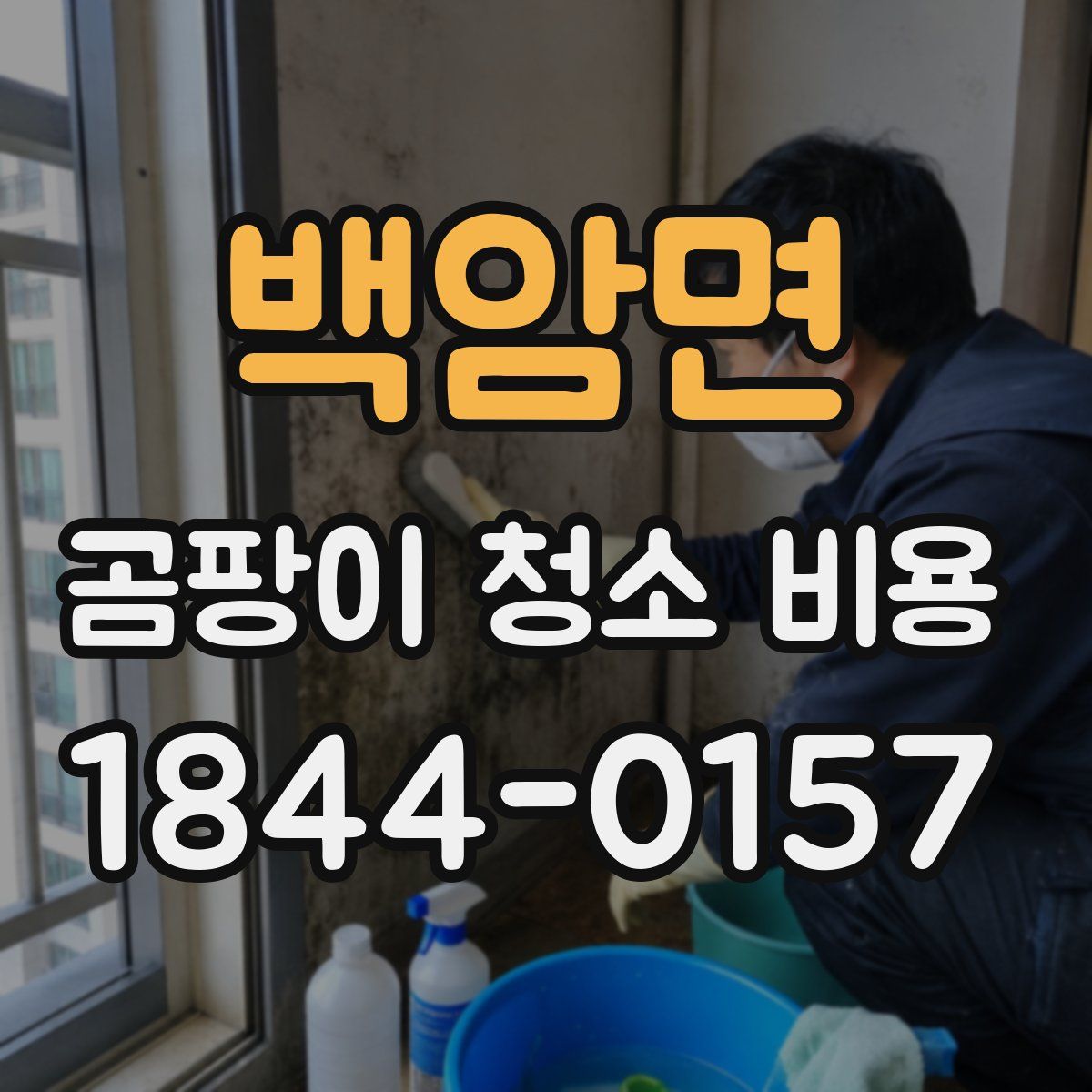 백암면 곰팡이 청소 비용