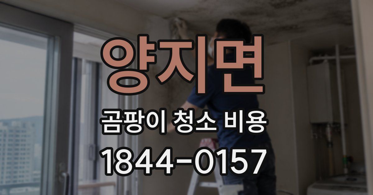 양지면 곰팡이 청소 비용