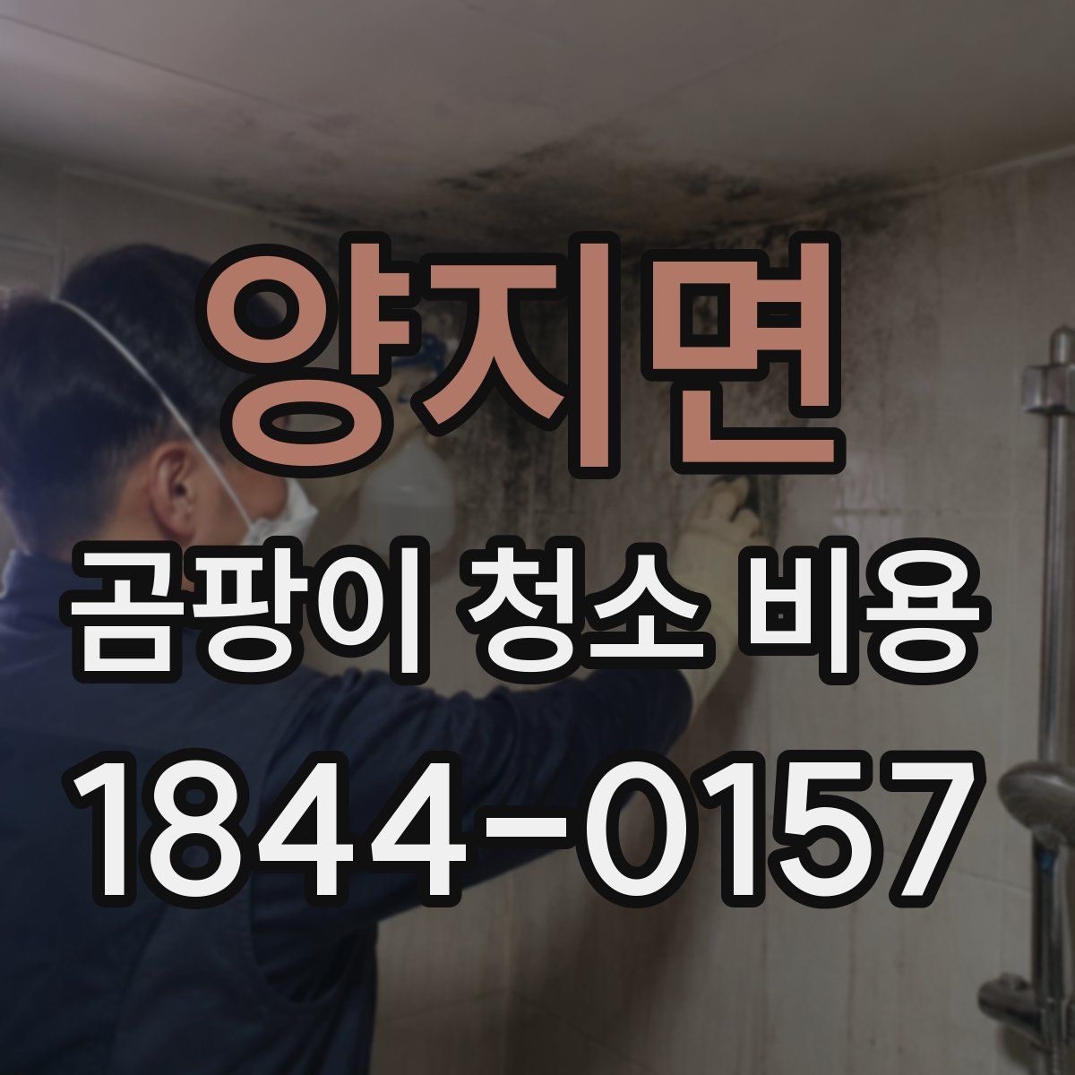 양지면 곰팡이 청소 비용