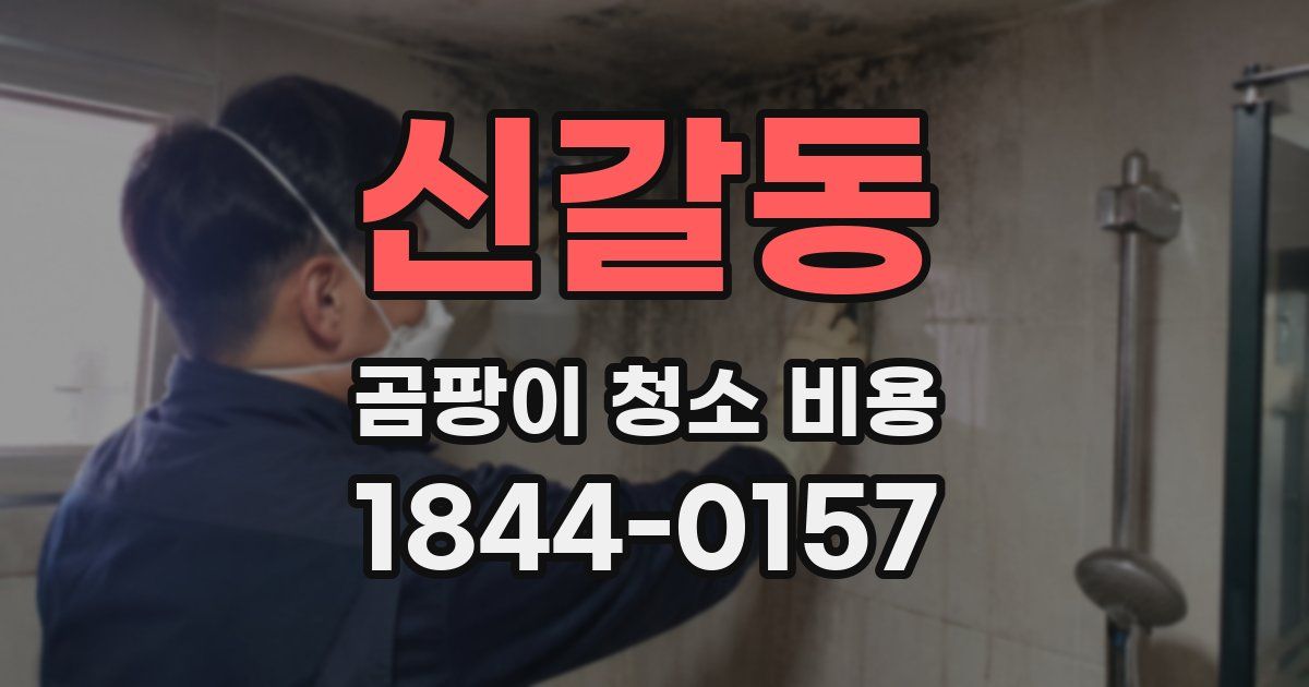 신갈동 곰팡이 청소 비용