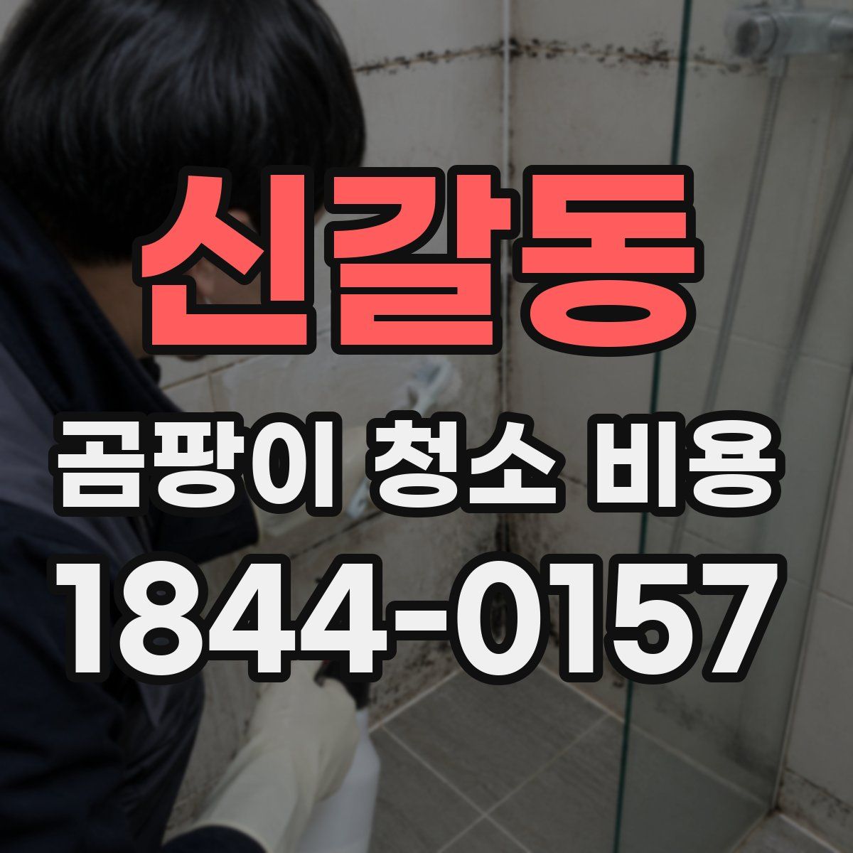 신갈동 곰팡이 청소 비용