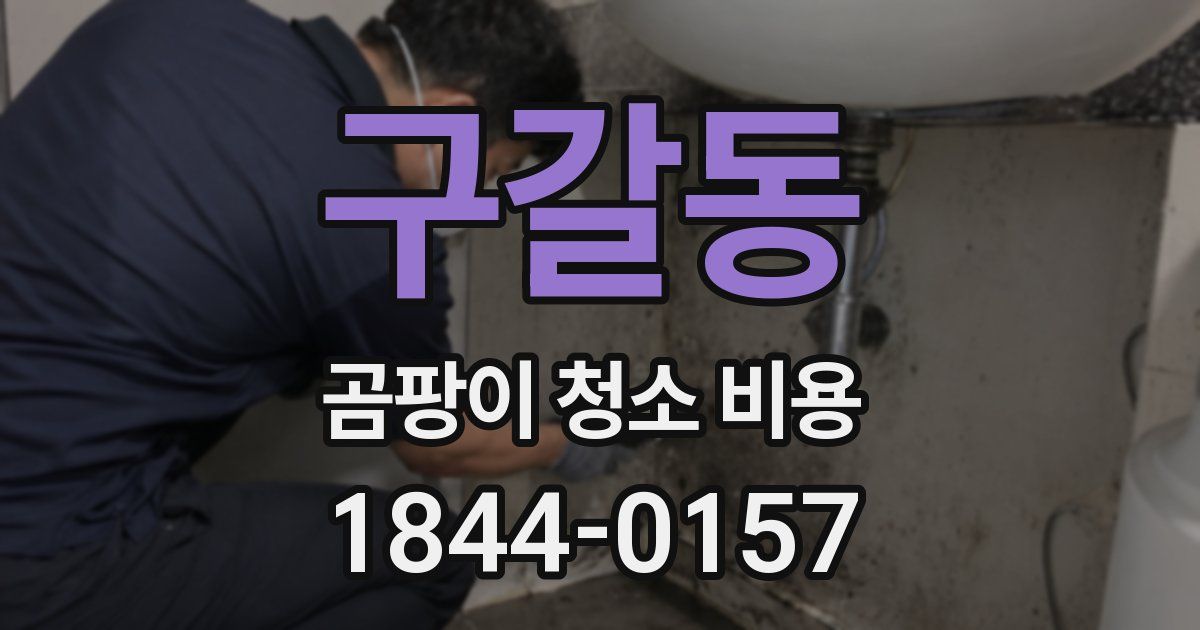구갈동 곰팡이 청소 비용