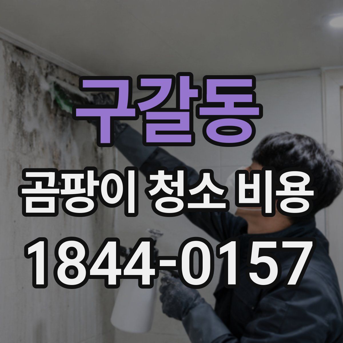 구갈동 곰팡이 청소 비용