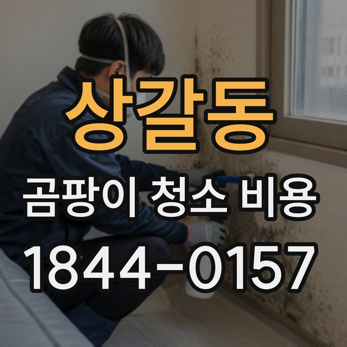상갈동 곰팡이 청소 비용
