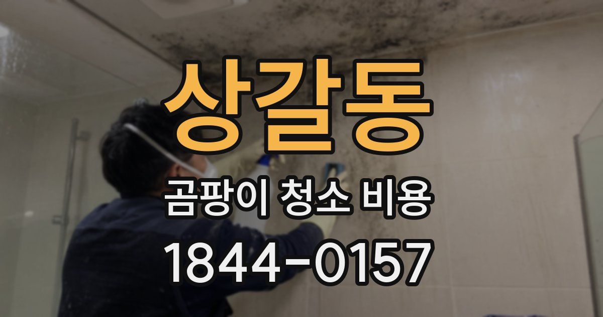 상갈동 곰팡이 청소 비용