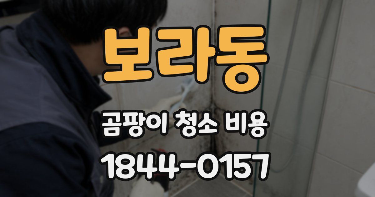 보라동 곰팡이 청소 비용