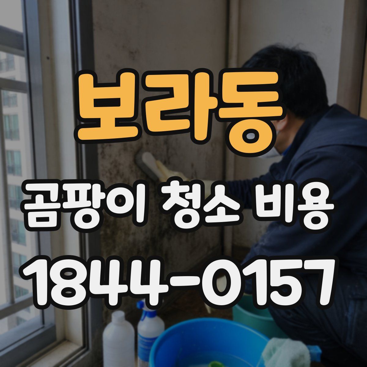 보라동 곰팡이 청소 비용
