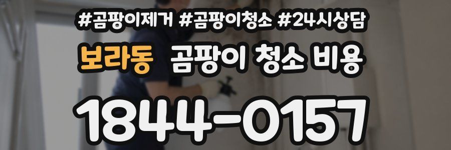 보라동 곰팡이 청소 비용