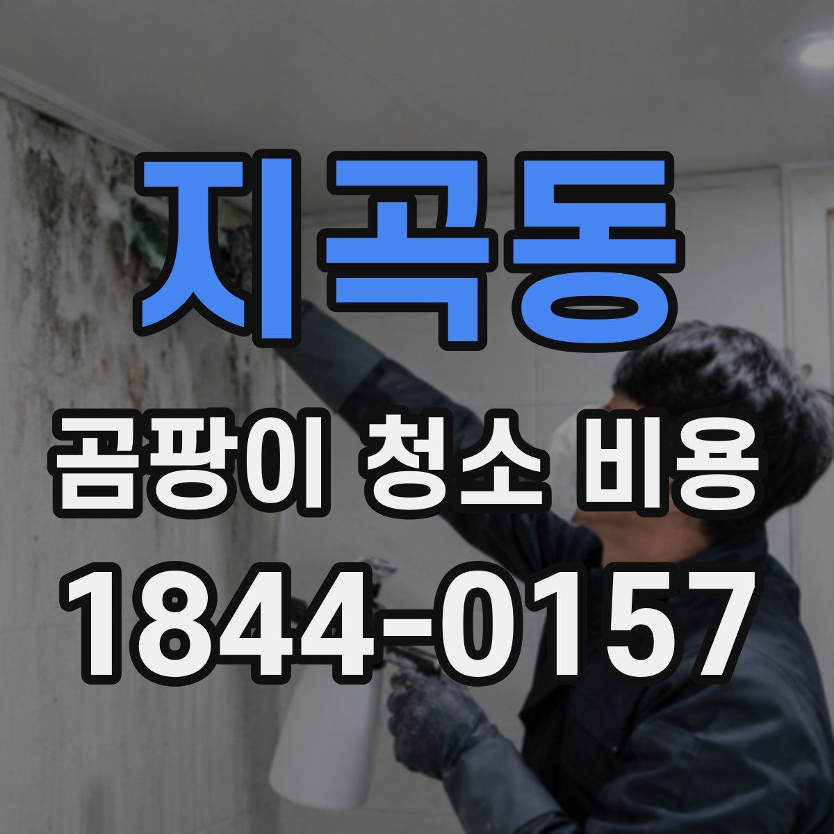 지곡동 곰팡이 청소 비용