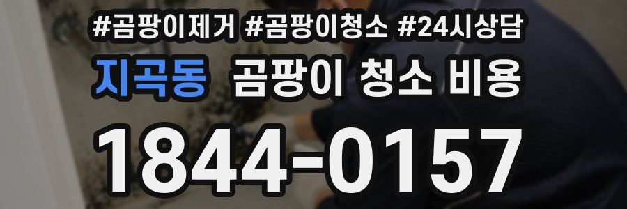 지곡동 곰팡이 청소 비용