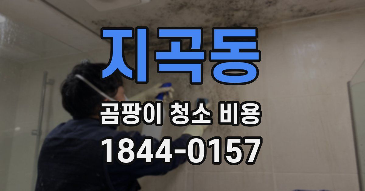 지곡동 곰팡이 청소 비용
