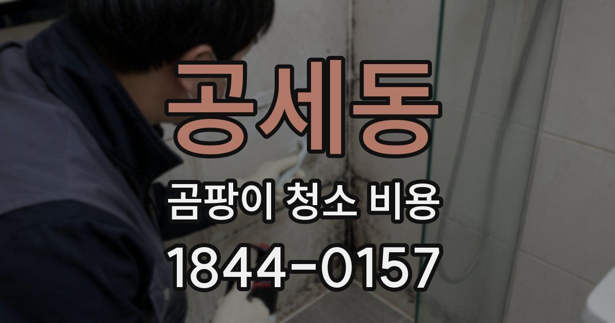 공세동 곰팡이 청소 비용