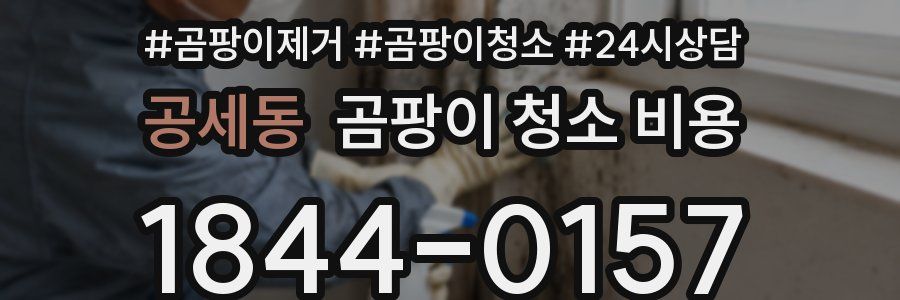 공세동 곰팡이 청소 비용