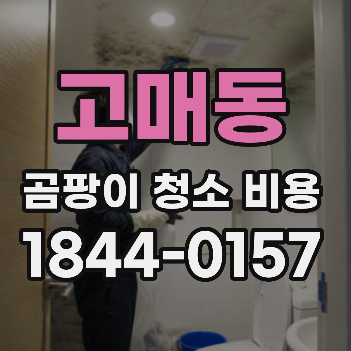 고매동 곰팡이 청소 비용 냄새가 함께 남을 때 점검할 항목