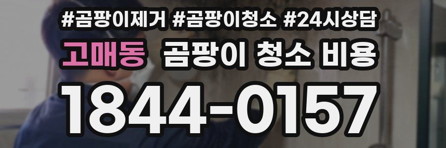 고매동 곰팡이 청소 비용