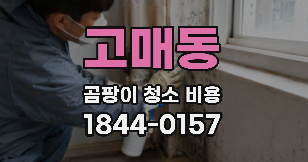 고매동 곰팡이 청소 비용