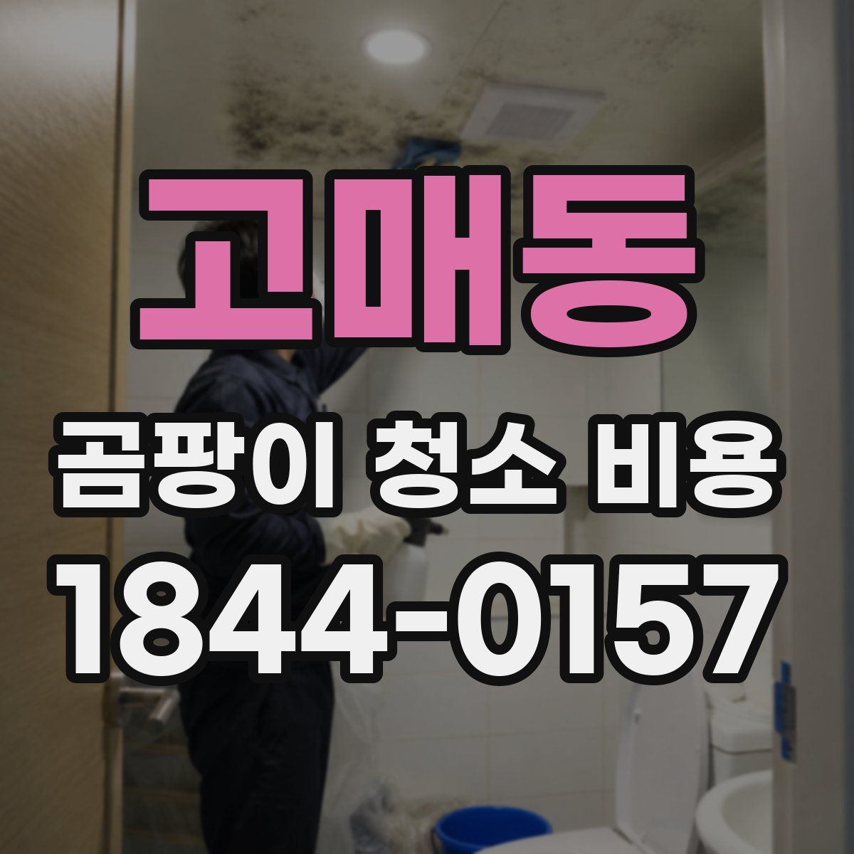 고매동 곰팡이 청소 비용