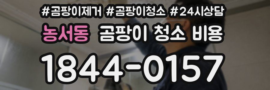 농서동 곰팡이 청소 비용