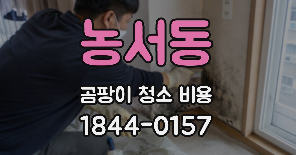 농서동 곰팡이 청소 비용