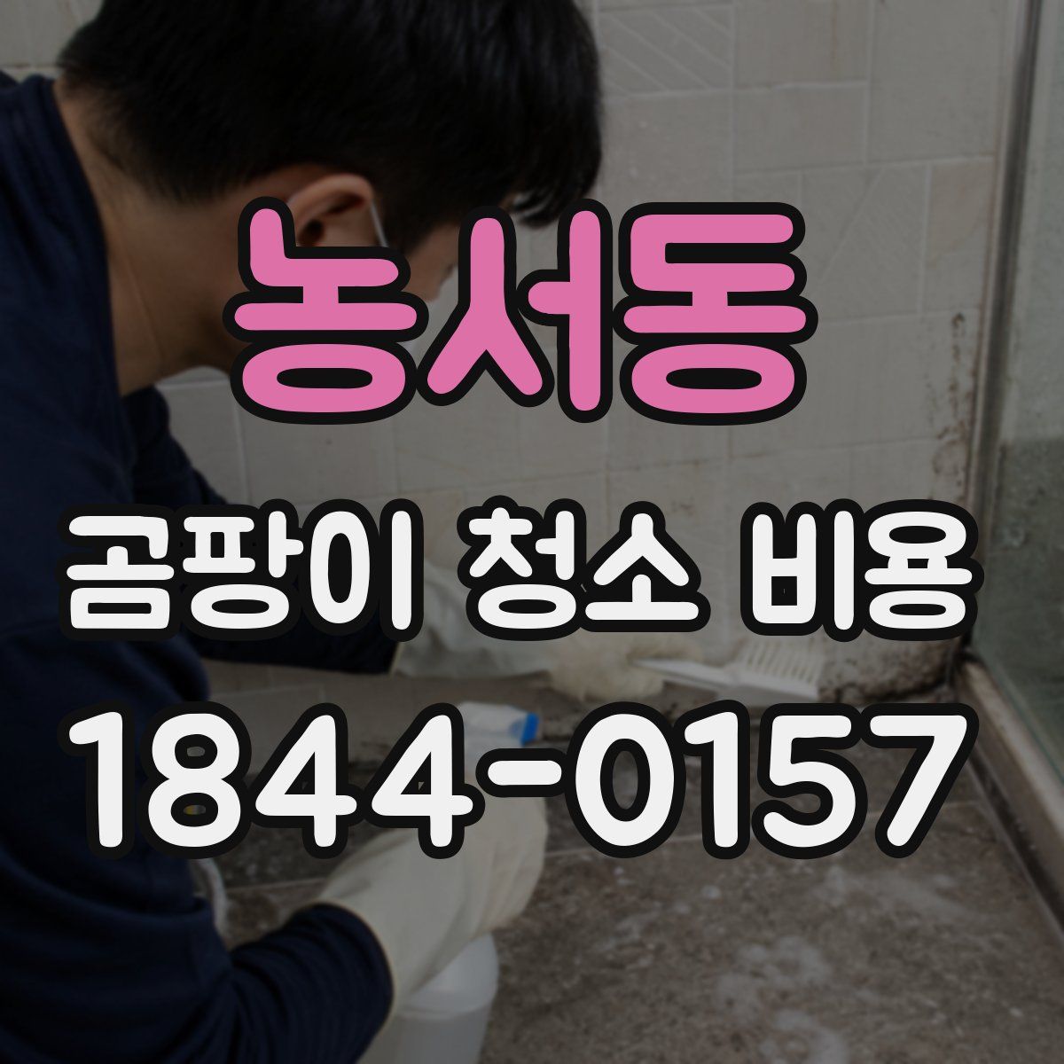 농서동 곰팡이 청소 비용