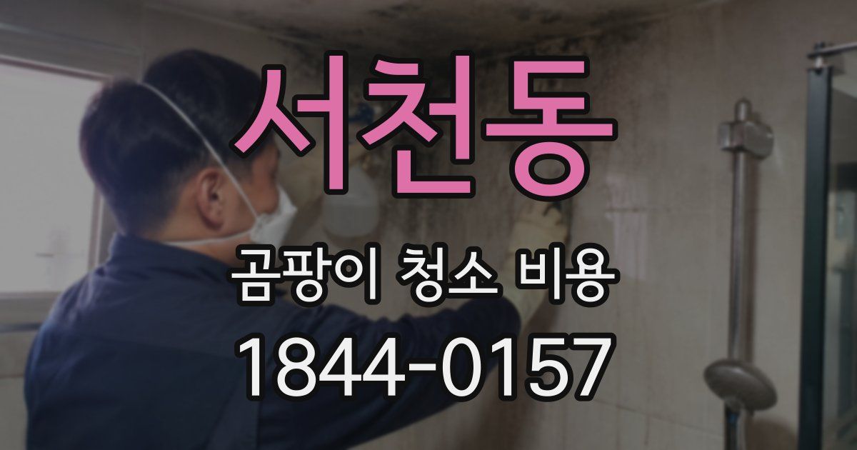 서천동 곰팡이 청소 비용
