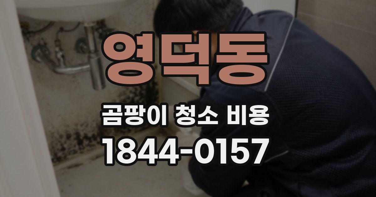 영덕동 곰팡이 청소 비용