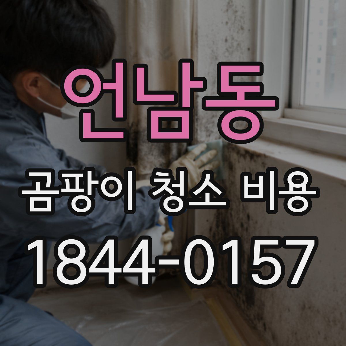언남동 곰팡이 청소 비용