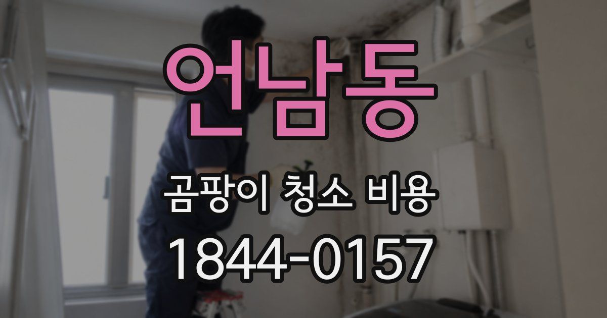 언남동 곰팡이 청소 비용