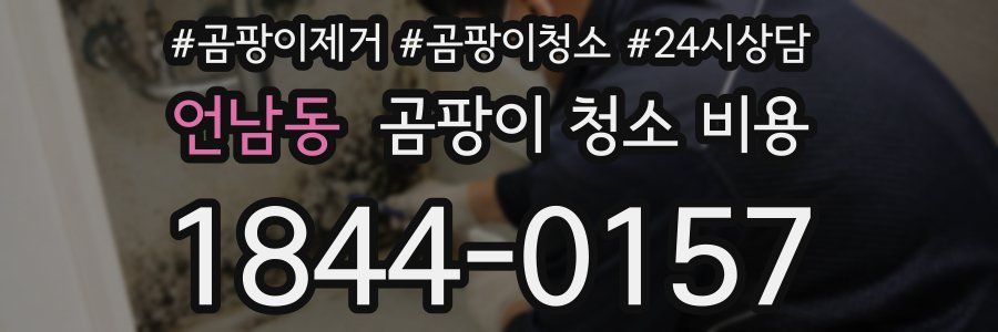 언남동 곰팡이 청소 비용