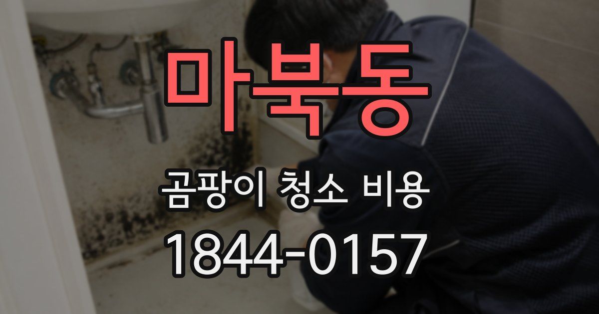 마북동 곰팡이 청소 비용