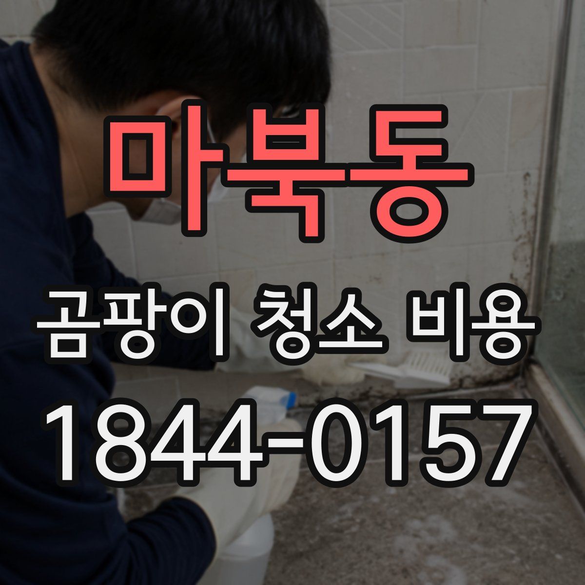 마북동 곰팡이 청소 비용