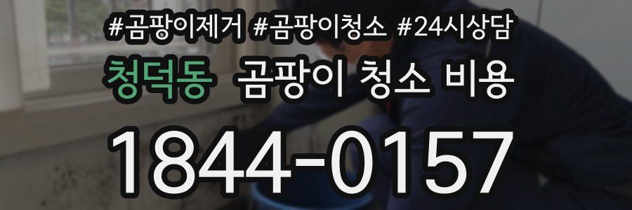 청덕동 곰팡이 청소 비용